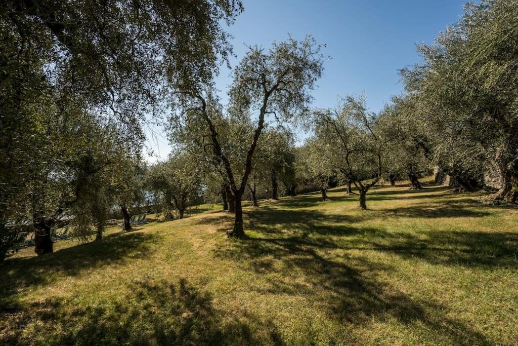 Oleandro Apartment Directly On The Lake Gargnano Exterior photo